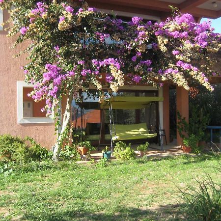 Apartman Lavanda Кали Екстериор снимка